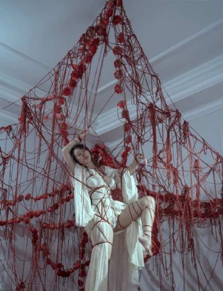 五月丁香美女视频_DVD全集免费观看