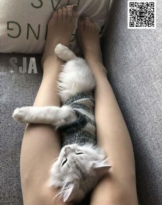 亚洲无码高黄视频_DVD免费观看韩国