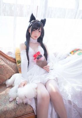 拔萝卜电视剧视频高清_高清完整版
